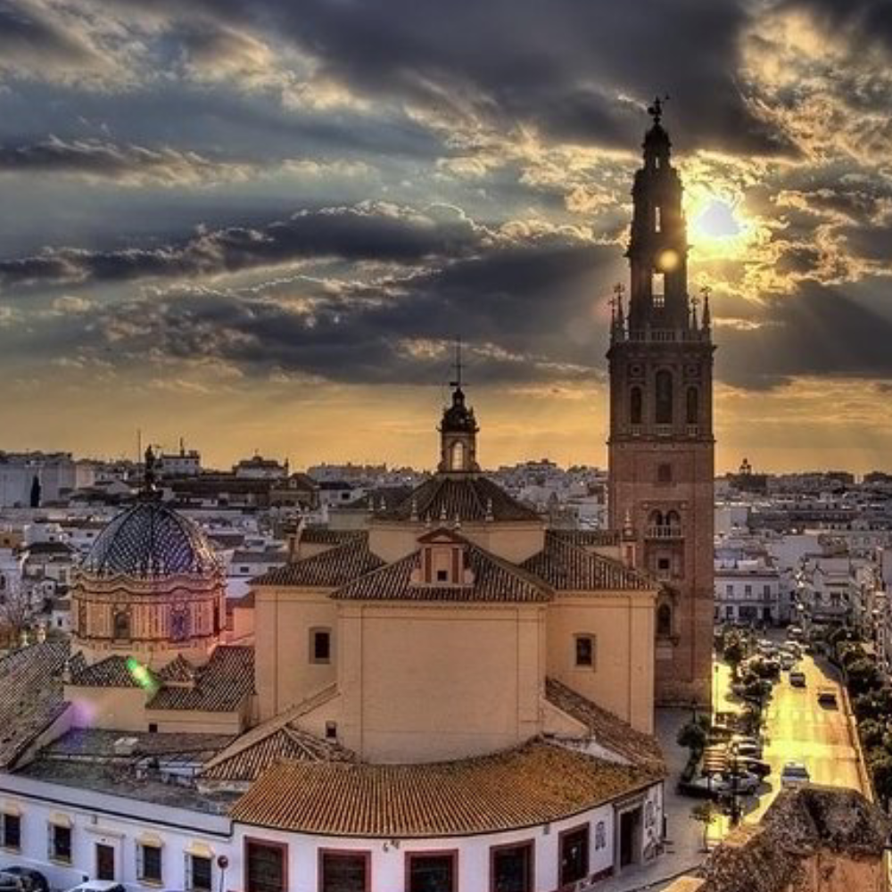 Vista guiada en Carmona