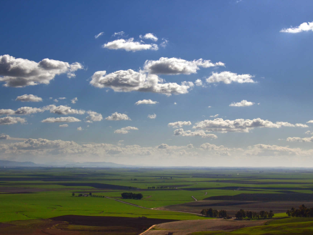 Vistas a la Vega Carmona